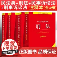全套4本正版2025适用 民法典+刑法+民事诉讼法+刑事诉讼法注释本刑法典最新版民诉法刑诉法法条法律书籍