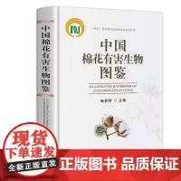 **棉花有害生物图鉴 陆宴辉 编 棉花种植业 专业科技书籍 直观形象地展示近似种类区分和辨识特征