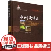 精装 **黄绵土 同延安 编 **耕地土壤论著系列 黄绵土生态过程 黄绵土资源的保护和可持续利用 黄绵土生态研究科普书籍