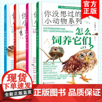 全套4册 你没想过的小动物系列 怎么饲养+去哪里寻找+怎么捉住它们+超有趣的动物小知识6-12岁小学生课外阅读动物观察笔