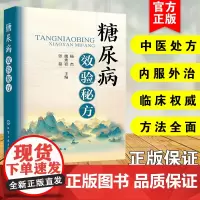 正版 糖尿病效验秘方 糖尿病患者医治指南 糖尿病及其并发症合并病中医处方总结 糖尿病相关内服方剂中成药调理方外治针灸方