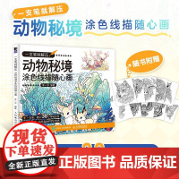 一支笔就解压 动物秘境涂色线描随心画 简笔画涂色绘本秘密花园临摹线稿成人儿童静心解压绘本图册