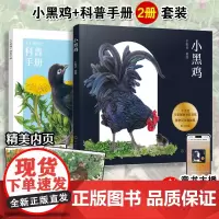 精装手绘礼品盒 小黑鸡 赠科普手册 大鹏自然童书奖博洛尼亚插画奖 于虹呈 3-6岁少儿童成长勇气生命励志幼儿科普绘本睡前