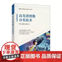 高光谱图像分类技术 人工智能理论技术及应用丛书高光谱遥感图像智能分类与检测相关方法科学社