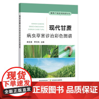 现代甘蔗病虫草害诊治彩色图谱 305755 2023.04 黄应昆 李文凤 农业科学