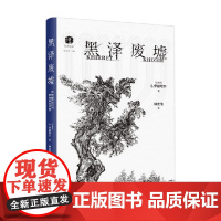 犹太文丛 黑泽废墟 S.伊兹哈尔 著 历史