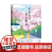 我是寻找夏目的猫 青鲤文库 白野猫咪 著 小说