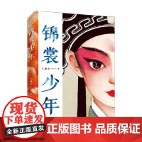 锦裳少年 10-14岁 王璐琪 著 儿童文学