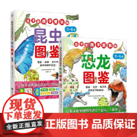 这才是孩子爱玩的昆虫图鉴 这才是孩子爱玩的恐龙图鉴 3-6岁 日本法布尔昆虫博物馆 著 科普百科