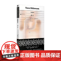 面孔 托芙·迪特莱弗森 著 小说