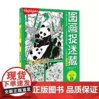 图画捉迷藏2022精华版1 美国童光萃集出版社 著 智力开发