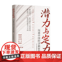 潜力与定力 问道中国经济新征程 北京大学国家发展研究院 编著 经济