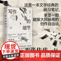 写作的细节 张佳玮 著 文学理论