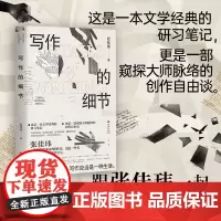 写作的细节 张佳玮 著 文学理论