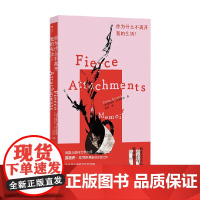 你为什么不离开我的生活 薇薇安·戈尔尼克 著 散文