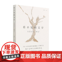 看不见的文学 文学如何 理论 杨宁 著 文学理论