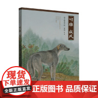 自然之子黑鹤精品书系 珍藏版 叼狼三部曲 叼狼 疾风 格日勒其木格·黑鹤 著 儿童文学