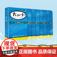 大和小 0-3岁 埃尔维·杜莱 著 玩具书