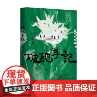 坡地手记 小杨老师和她的大学 何大草 著 小说