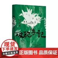 坡地手记 小杨老师和她的大学 何大草 著 小说