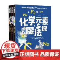 化学元素魔法课 孙亚飞 著 科普百科