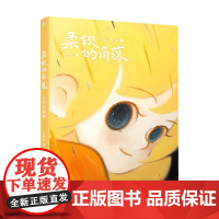 柔软的角落 儿力力画集 儿力力 著 动漫