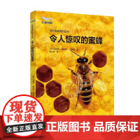 令人惊叹的蜜蜂 玛丽亚·桑切斯·瓦迪洛 著 科普读物