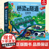 桥梁和隧道立体书 6-12岁 呦呦童 著 科普百科