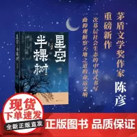 星空与半棵树 陈彦 著 小说