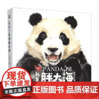 你好 我是胖大海 全3册 元元 著 儿童绘本