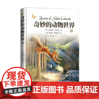 奇妙的动物世界2 3-8岁 卡特琳娜·萨朗比埃等 著 儿童绘本