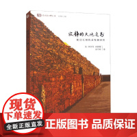 寂静的大地之书 和日石刻传承发展研究 东·华尔丹等 著 历史