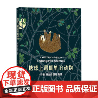 地球上最孤单的动物 米莉·玛洛塔 著 艺术