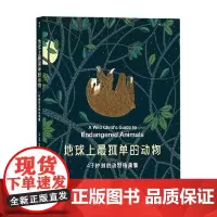 地球上最孤单的动物 米莉·玛洛塔 著 艺术