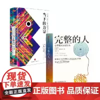 当下的力量 白金版 +完整的人 套装2册 史蒂夫比达尔夫等著 获得完整的内在精神力量与内心的平静