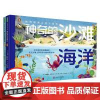 神奇的地上地下系列 全2册 神奇的沙滩海洋+神奇的黄昏黎明 3-6岁 哈里雅特·埃文斯 著 科普百科