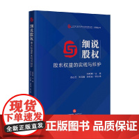 细说股权 股东权益的实现与维护 胡晓琳等 著 法律