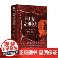 印度文明史 伯顿·斯坦等 著 历史