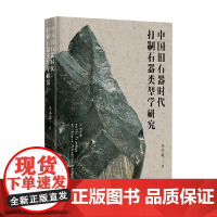 中国旧石器时代打制石器类型学研究 冯小波 著 历史