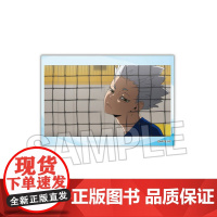 正版日谷 PROOF排球少年 TV场面写迷你可立方形徽章 亚克力叠叠乐