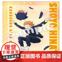 正版日谷 T-ARTS排球少年 Playing吉祥物海报