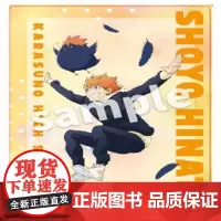 正版日谷 T-ARTS排球少年 Playing吉祥物海报