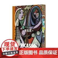 毕加索 gaatii光体 著 名家画集