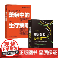 被追赶的经济体+萧条中的生存策略 辜朝明等 著 经济