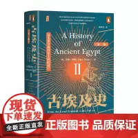 古埃及史 第2卷 从大金字塔到中王国的衰亡 约翰罗默著 大金字塔 埃及 金字塔 中王国 历史
