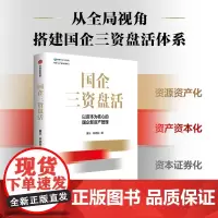 国企三资盘活 黄乐等 著 帮助国有企业盘活资产资源资金 实现价值增值保值的实操指南 价值发现分析实现放大 管理