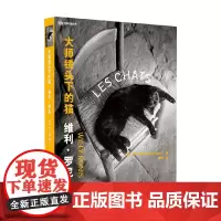大师镜头下的猫 维利·罗尼 著 摄影