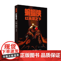 蝙蝠侠 红头罩之下 贾德·威尼克 著 动漫