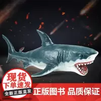 RECUR海洋动物世界鲨鱼仿真蓝鲸白海豚海豹虎鲸儿童模型玩具 文创