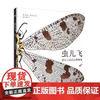 虫儿飞 指尖上的昆虫博物馆 7-10岁 克拉拉·科尔曼 著 科普百科